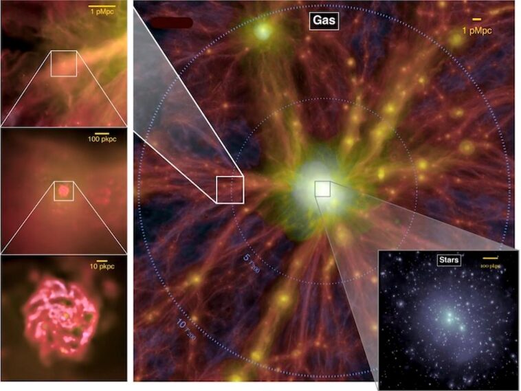 Comment les fils invisibles de la toile cosmique façonnent les galaxies SciTechDaily