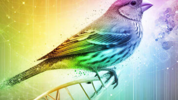 SciTechDaily