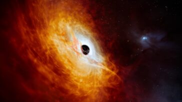 SciTechDaily
