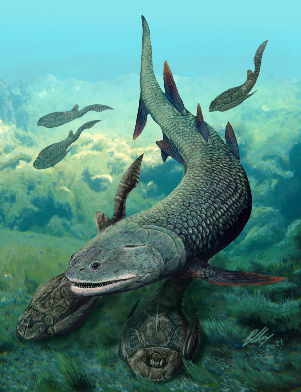 Des scientifiques découvrent d’étranges poissons anciens de 380 ...