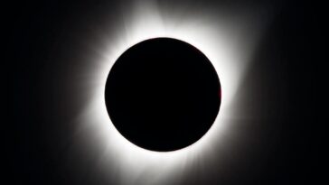 SciTechDaily