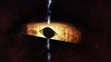 SciTechDaily