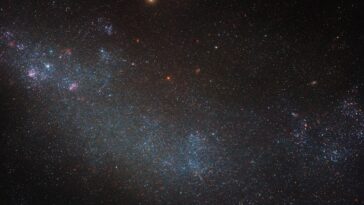 SciTechDaily