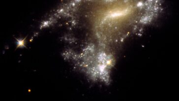 SciTechDaily