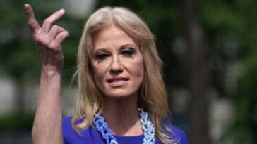 Kellyanne Conway : Trump devrait choisir une personne de couleur comme vice-président et ensuite prétendre que cela n'a rien à voir avec la race