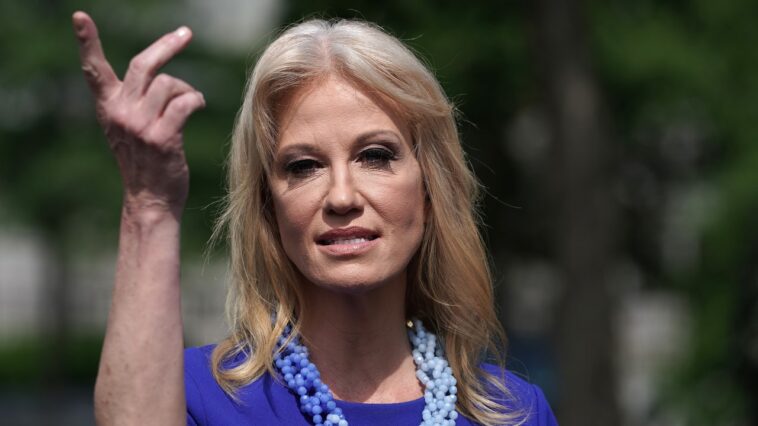 Kellyanne Conway : Trump devrait choisir une personne de couleur comme vice-président et ensuite prétendre que cela n'a rien à voir avec la race