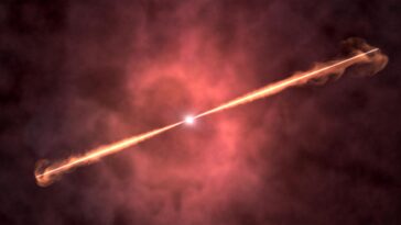 SciTechDaily