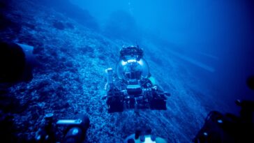 La découverte accidentelle des profondeurs océaniques modifie notre compréhension de la Terre