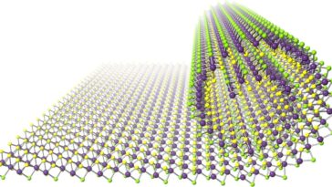 SciTechDaily