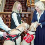 La reine Camilla accorde un traitement royal aux chiens médicaux La reine Camilla accorde un traitement royal aux chiens médicaux