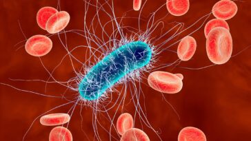 SciTechDaily