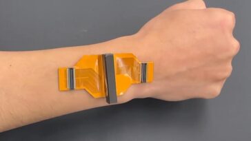 SciTechDaily