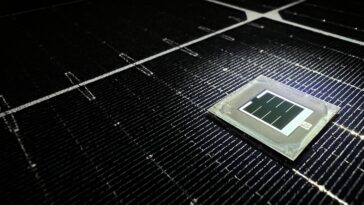 SciTechDaily