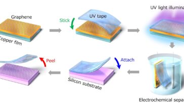 SciTechDaily