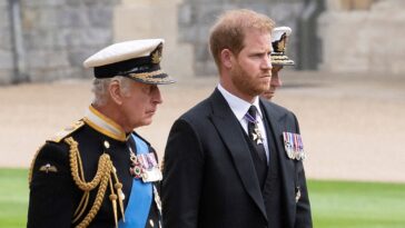 Le prince Harry retrouve le roi Charles, atteint d'un cancer, puis quitte rapidement le Royaume-Uni