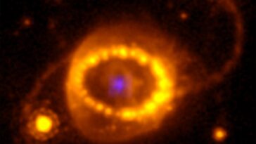 SciTechDaily