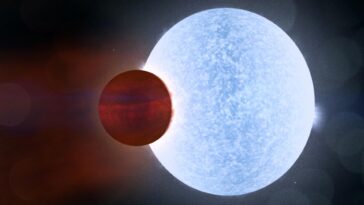 SciTechDaily