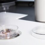 Les Républicains se soucient tellement de la protection de la FIV qu'ils sont sur le point de bloquer un projet de loi qui ferait exactement cela Les Républicains se soucient tellement de la protection de la FIV qu'ils sont sur le point de bloquer un projet de loi qui ferait exactement cela