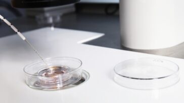 Les Républicains se soucient tellement de la protection de la FIV qu'ils sont sur le point de bloquer un projet de loi qui ferait exactement cela
