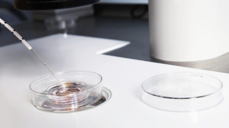 Les Républicains se soucient tellement de la protection de la FIV qu'ils sont sur le point de bloquer un projet de loi qui ferait exactement cela