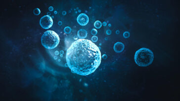 SciTechDaily