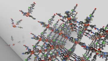 SciTechDaily