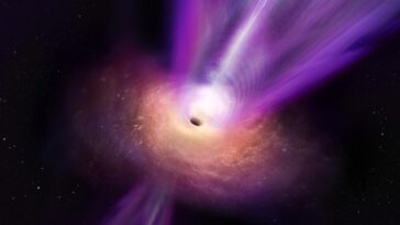 SciTechDaily