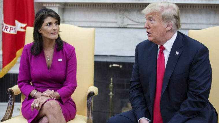 Nikki Haley : L’Amérique commet un « suicide » en votant pour Trump
