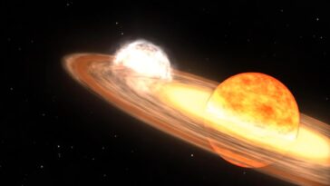 SciTechDaily