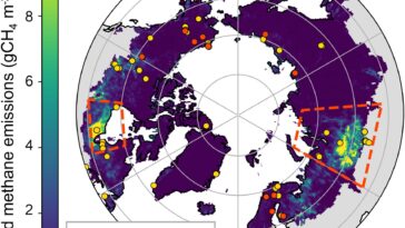 Wetland Methane Hotspots in the Arctic and Boreal Region