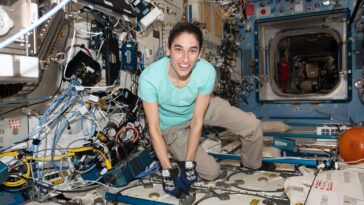 SciTechDaily