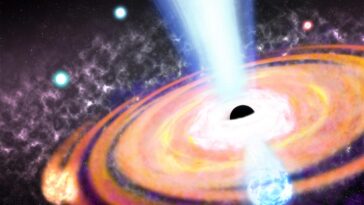 SciTechDaily