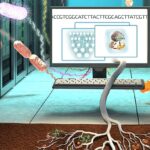Percer les secrets des microbes du sol pour améliorer les prévisions climatiques SciTechDaily