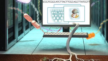 SciTechDaily