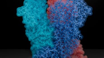 SciTechDaily