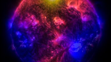 SciTechDaily