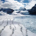 Quand l’histoire se répète : la génétique ancienne des poulpes indique un effondrement potentiel de la calotte glaciaire de l’Antarctique occidental SciTechDaily