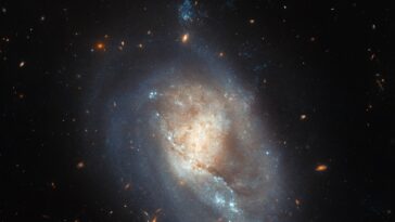 SciTechDaily