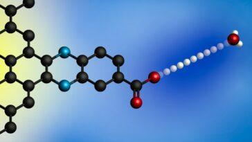 SciTechDaily