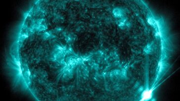 SciTechDaily
