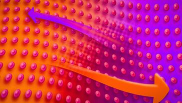SciTechDaily
