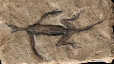 SciTechDaily