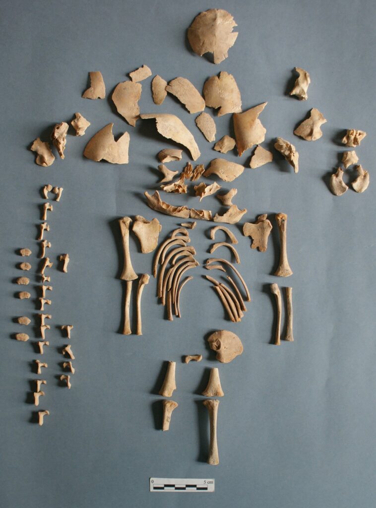 SciTechDaily