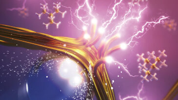 SciTechDaily