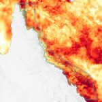 Blanchi : le stress thermique fait cuire la grande barrière de corail