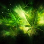 Consommation de cannabis et alimentation compulsive : quel est le lien ? SciTechDaily