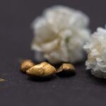 De la poubelle au trésor : une nouvelle méthode transforme les déchets électroniques en or SciTechDaily