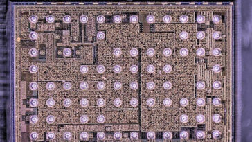 SciTechDaily