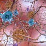 Décoder Tau : le casse-tête des protéines dans la maladie d'Alzheimer SciTechDaily