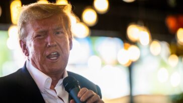 Déjà 91 millions de dollars en poche, Donald Trump décide de diffamer encore E. Jean Carroll